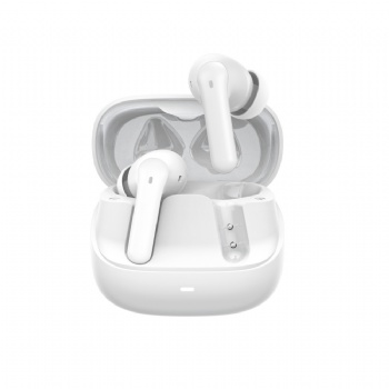 6 Mic ANC ENC earbuds