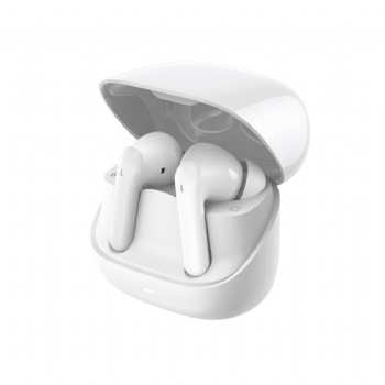 6 Mic ANC ENC earbuds